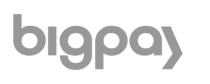 Bigpay Logo